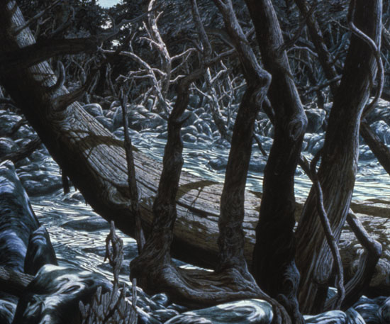 hed_510_lean_550x457